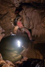 Alternativtext hier eingeben