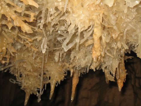 Excentriques in der Grotte de Barbette