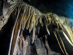Sinterfahnen in der Grotte de la Roche